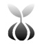 Spacekorn Seed